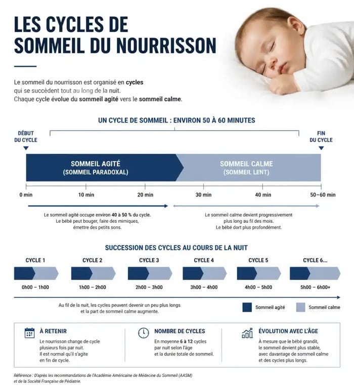 Infographie des cycles de sommeil et heures de sommeil bébé par âge